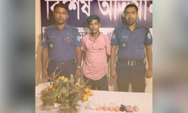 সুপারির ডাঁটায় কৌশলে ইয়াবা পাচারচেষ্টা, মিরসরাইয়ে গ্রেপ্তার ৩
