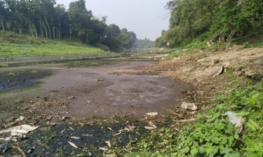 নদী আছে, পানি নেই