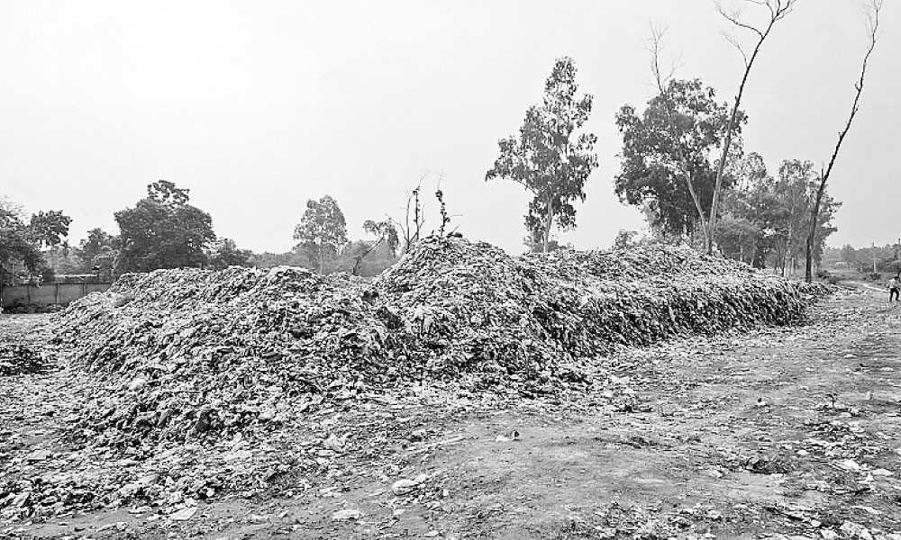 গোরস্তানে ভাগাড়
