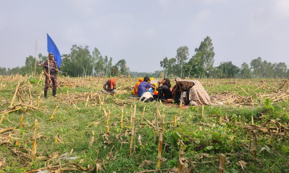 ঠাকুরগাঁও সীমান্তে বিজিবির বাধায় ব্যর্থ ১১ জনকে পুশ-ইনের চেষ্টা