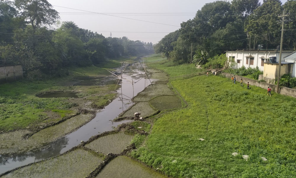 এক সময়ের খরস্রোতা বড়াল এখন সরু খাল