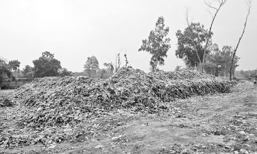 গোরস্তানে ভাগাড়