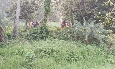 পুশ ইনে ব্যর্থ হয়ে সেই ২৮ জনকে ভারতে ফিরিয়ে নিয়েছে বিএসএফ : বিজিবি