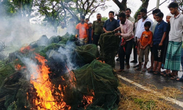 নাটোরে আড়াই লাখ টাকার নিষিদ্ধ চায়না দুয়ারি জাল ধ্বংস