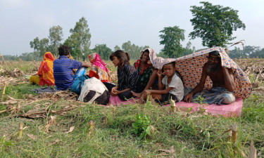ঠাকুরগাঁও সীমান্তে ১১ জনকে পুশইনের চেষ্টা, পতাকা বৈঠকেও মেলেনি সমাধান