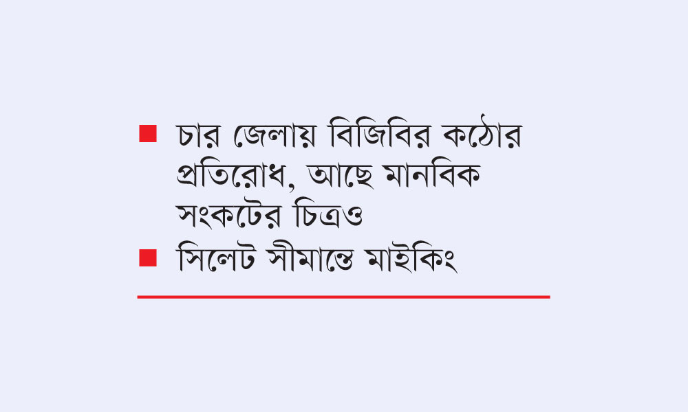 শূন্যরেখা থেকে বেশ কজনকে ফিরিয়ে নিয়েছে বিএসএফ