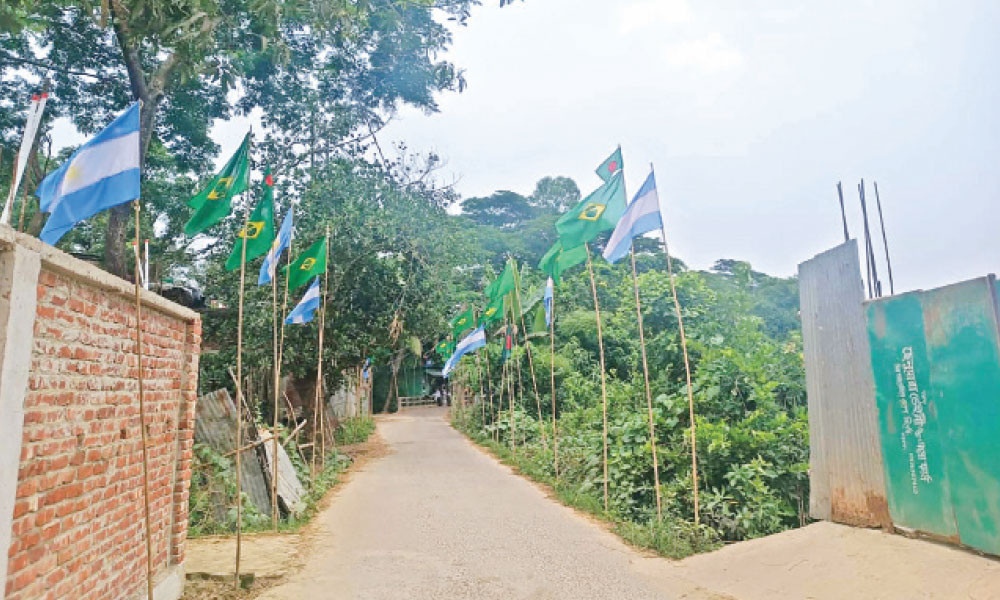 উন্মাদনার প্রতিফলন পতাকায়