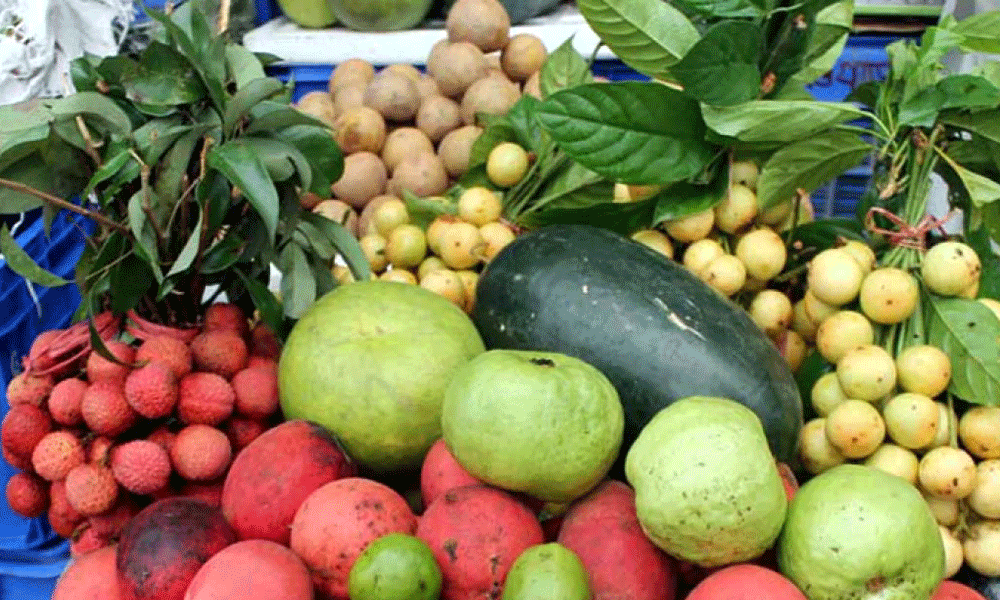 ১১ মাসে ফল রপ্তানি করে ১২ কোটি ৩০ লাখ ডলার আয়