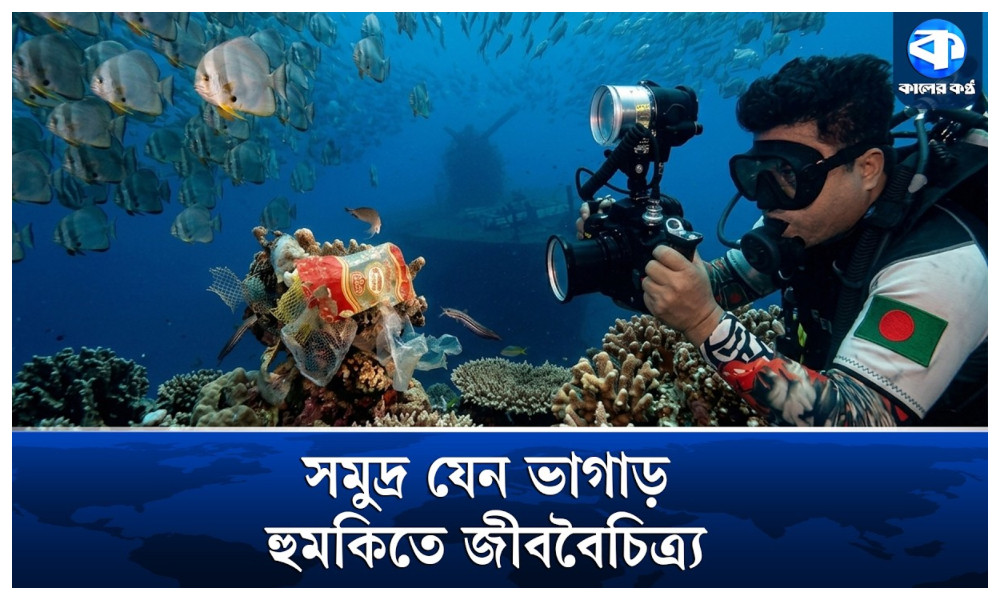 সমুদ্রের তলদেশে ক্যামেরা নিয়ে ছুটে বেড়ান সারওয়ার
