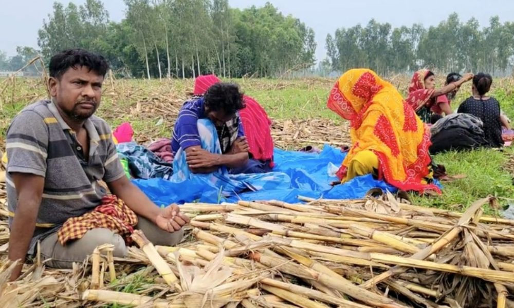 ঠাকুরগাঁও সীমান্তের শূন্যরেখায় থাকা ১১ জনকে সরিয়ে নিল বিএসএফ