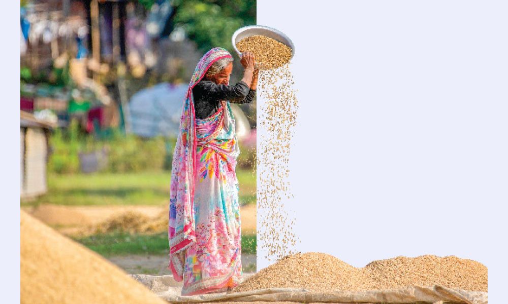 আছেন হালিমারাও