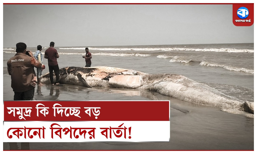 কুয়াকাটা সৈকতে কেন এই মৃত্যুর মিছিল?