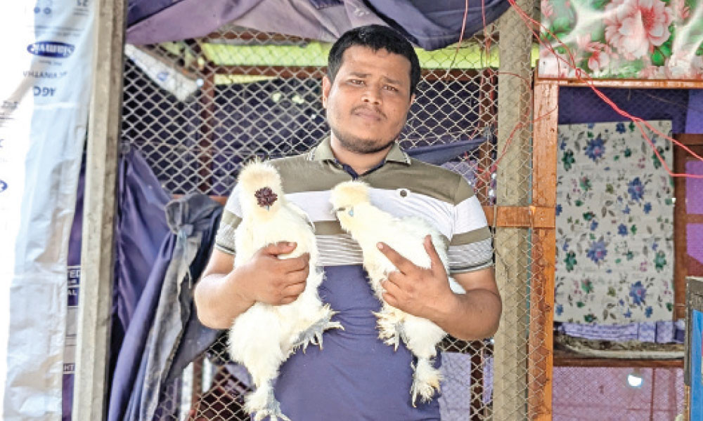 শখের সিল্কি মুরগি থেকে সফল উদ্যোক্তা