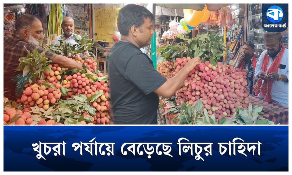 বাজারে চাহিদা ও বিক্রি বেড়েছে মৌসুমি ফলের