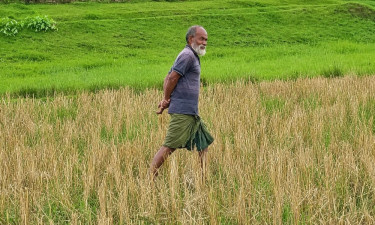 জামালপুর সীমান্তে পুশ ইনের চেষ্টা, শূন্যরেখায় আটকা বৃদ্ধ