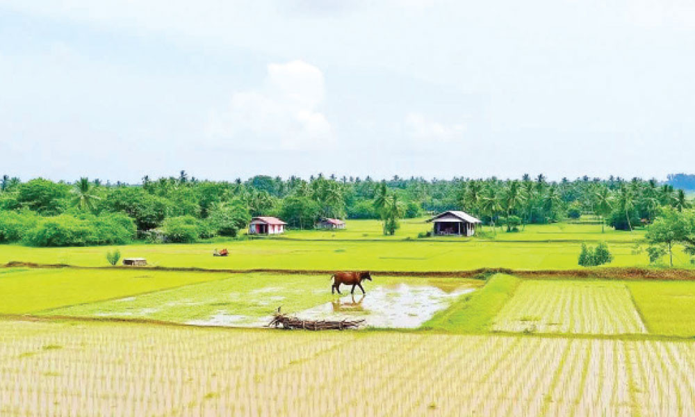 ইসলামের দৃষ্টিতে প্রচলিত জমি বন্ধক (কট) ব্যবস্থা