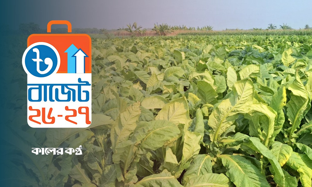 তামাকপণ্যে ৩৫০% আমদানি শুল্ক আরোপ