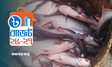 বাড়বে পাঙ্গাশ মাছের দাম