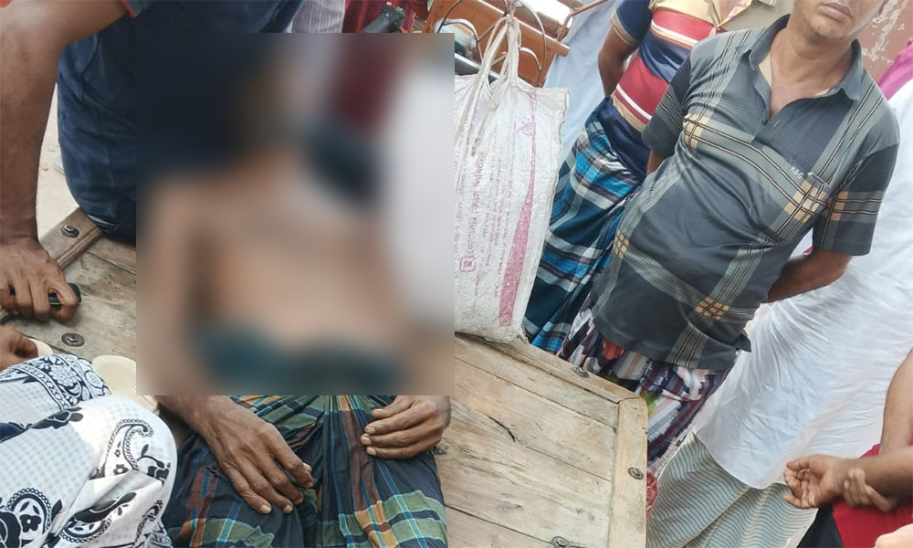 লালপুরে সাপের কামড়ে কৃষকের মৃত্যু