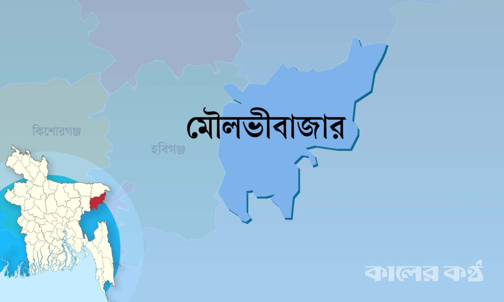 কুলাউড়া সীমান্তে বিএসএফের গুলিতে বাংলাদেশী যুবক নিহত