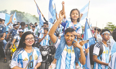 বিশ্বকাপ উন্মাদনা
