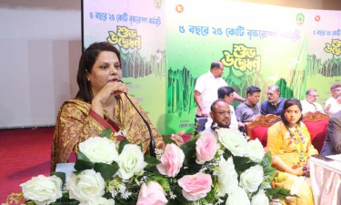 বাসযোগ্য ঢাকা গড়তে বৃক্ষরোপণকে সামাজিক আন্দোলনে রূপ দিতে হবে : ডিসি ফরিদা