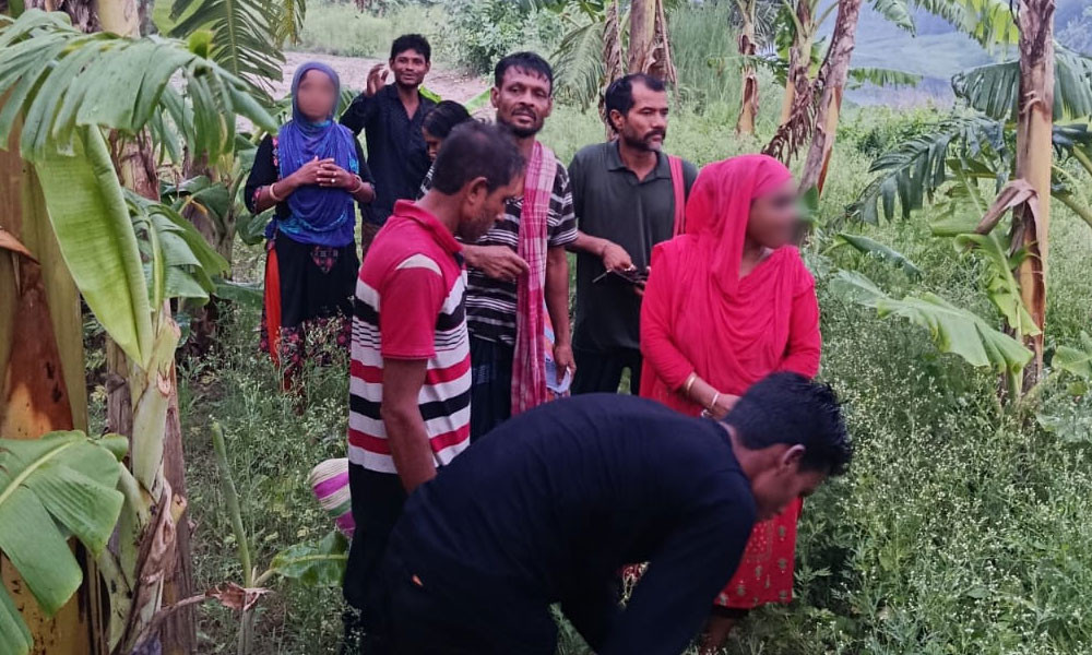 দর্শনা সীমান্ত দিয়ে ১১ জনকে পুশ ইনের চেষ্টা, বিজিবির বাধা