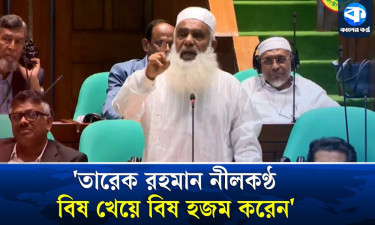 স্বাধীনতার পর যা হয়েছে, হাসিনা বিদায়ের পরেও তা হয়েছে : মনিরুল হক