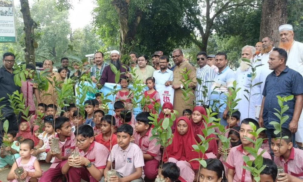 বসুন্ধরা টিস্যু ও বসুন্ধরা শুভসংঘের যৌথ উদ্যোগে গোবিন্দগঞ্জে বৃক্ষরোপণ