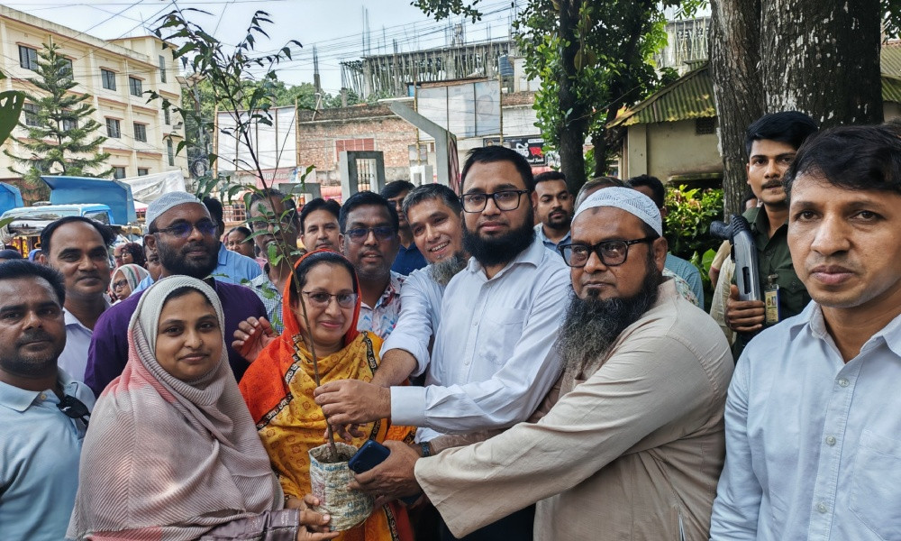 আজকের একটি গাছ, আগামীকাল আপনার শিশুর শ্বাস-প্রশ্বাস
