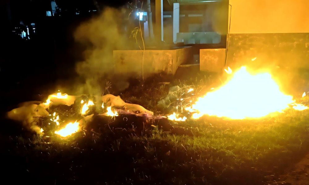 সদরপুরে ২০ হাজার মিটার কারেন্ট জাল ও ৪২টি চায়না দোয়ারি জব্দ
