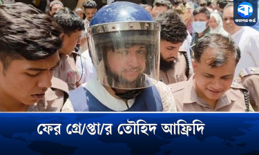 প্রতারণার মামলায় ফের গ্রেপ্তার তৌহিদ আফ্রিদি