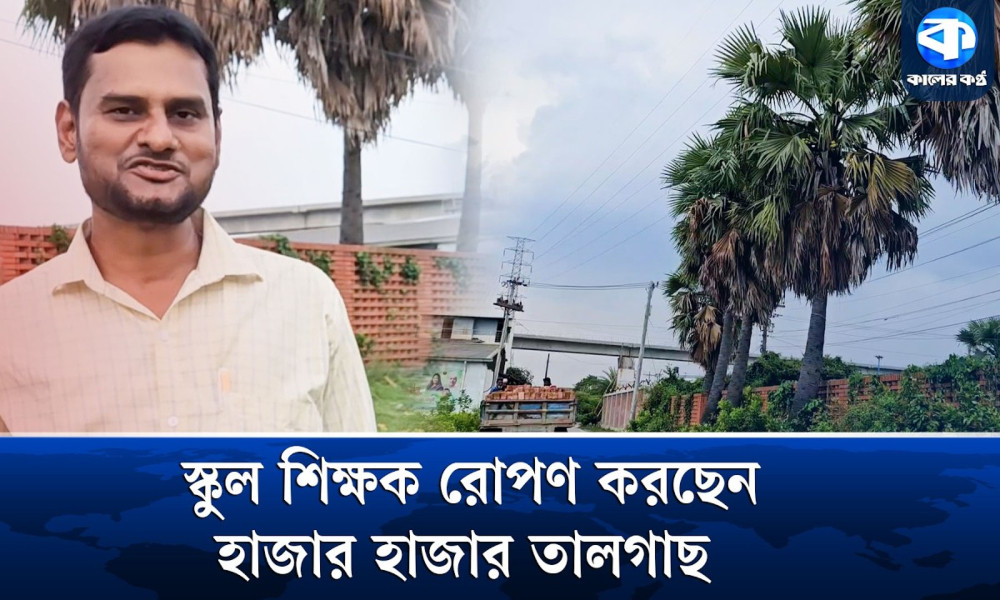 ১৯ বছর ধরে বজ্রপাতের বিরুদ্ধে যুদ্ধ করে যাচ্ছেন স্কুল শিক্ষক তাজ-উল