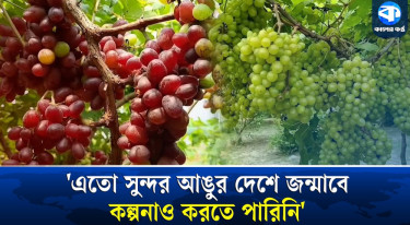 কম খরচে লাখ টাকার সফলতা!