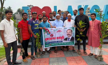 লাকসামে জিয়া সাইবার ফোর্সের বৃক্ষরোপণ কর্মসূচি