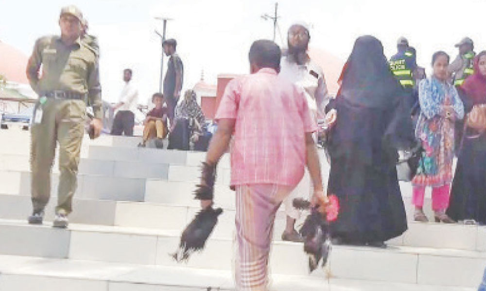 কুমির নেই, তবু চলছে মানত