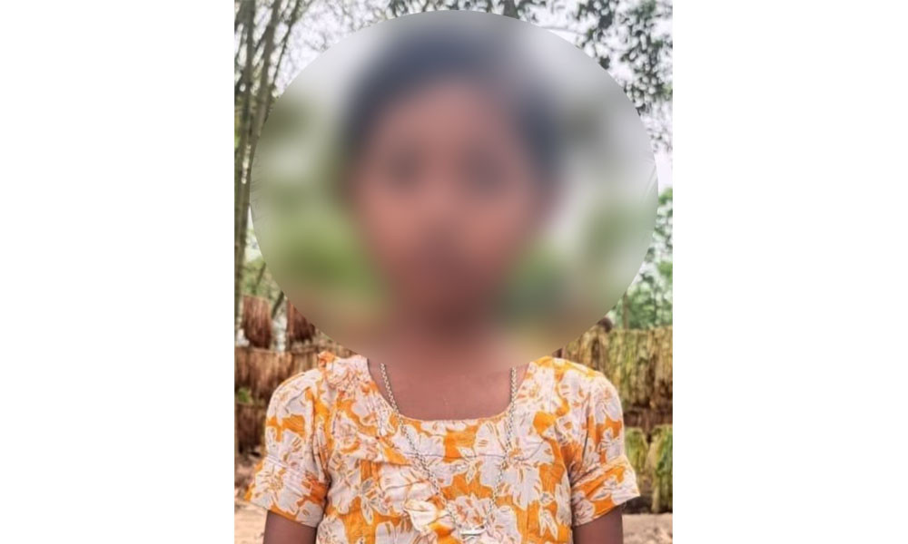 শিশু নন্দিনীর শেষকৃত্য, ঘটনা তদন্তে দুই কমিটি