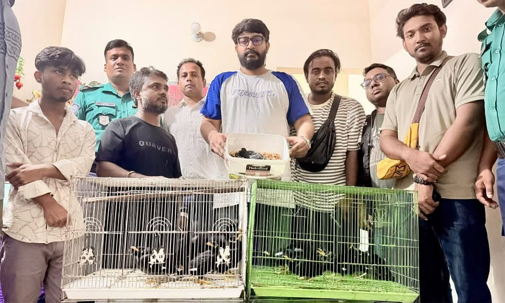 টঙ্গীতে ৯৯৯-এর ফোনকলে ১৬ পাখি উদ্ধার, গ্রেপ্তার ২