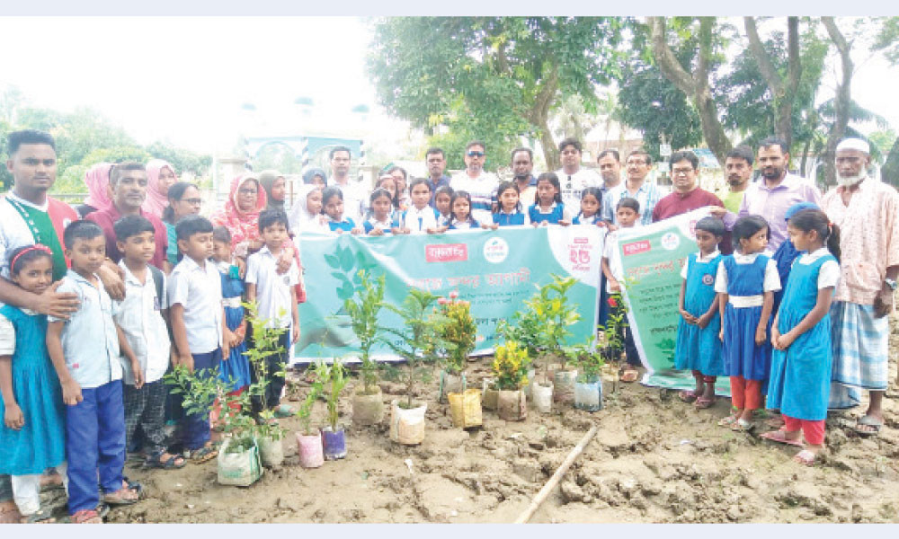 আখাউড়ায় স্কুল প্রাঙ্গণে বৃক্ষরোপণ