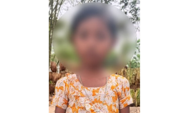 শিশু নন্দিনীর শেষকৃত্য, ঘটনা তদন্তে দুই কমিটি