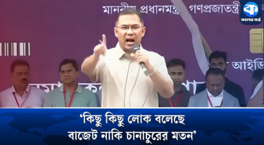 ভাগ্য উন্নয়নের বাজেটকে গণবিরোধী বাজেট বলে বিরোধী দল : প্রধানমন্ত্রী