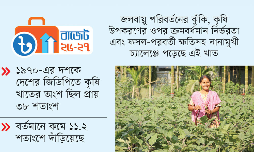 কৃষিতে বরাদ্দ বাড়লেও যথাযথ সুফল পাচ্ছেন না ক্ষুদ্র কৃষক