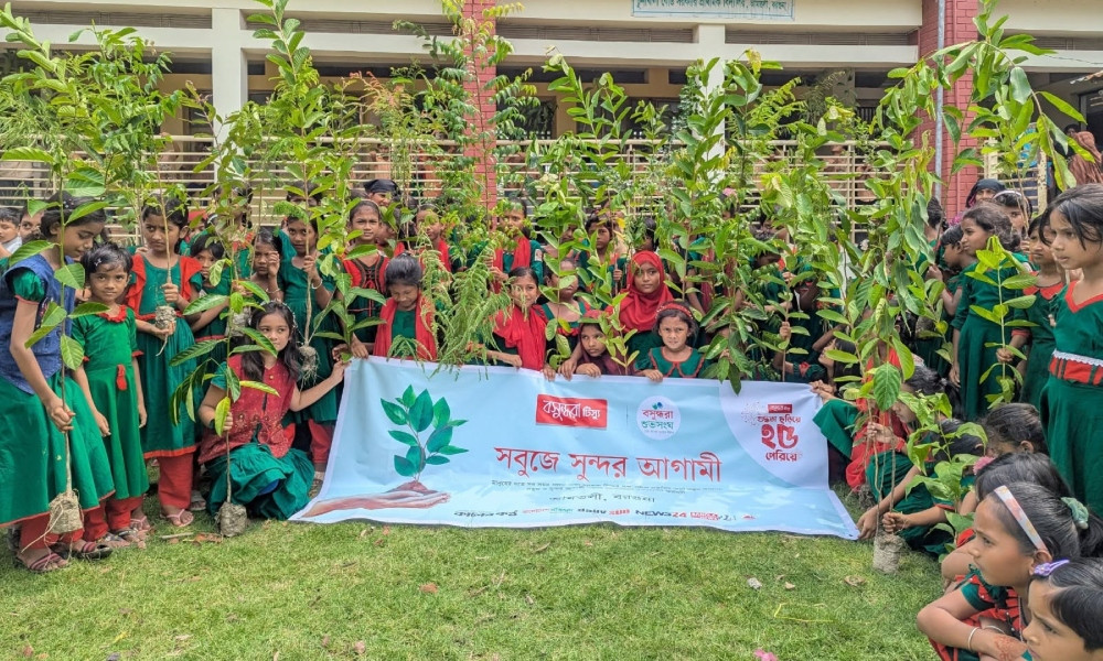আমতলীতে বসুন্ধরা শুভসংঘের বৃক্ষরোপণ ও চারা বিতরণ