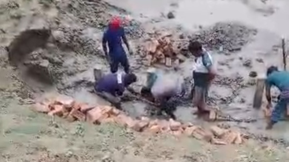 পানি-কাঁদার মধ্যে প্যালাসাইটিং নির্মাণ