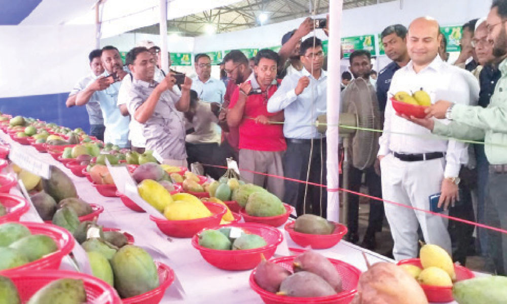 ২০০ প্রজাতির আম নিয়ে মেলা শুরু