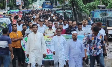 জেলা যুবদলের কমিটিকে স্বাগত জানিয়ে রামগতিতে আনন্দ মিছিল