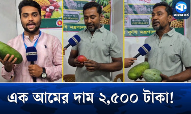 ফল মেলায় বিশ্বের সবচেয়ে বড় আম, একটির দাম আড়াই হাজার টাকা