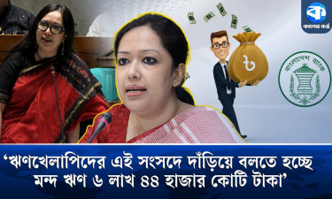 বাজেটের জন্য অর্থমন্ত্রীকে ধন্যবাদ দিলেন রুমিন ফারহানা