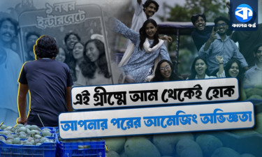 একটা আম, হাজারো গল্প : প্রাণের উৎসব রাজশাহীর আম-মৌসুম