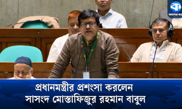 বাংলাদেশের ক্যাপ্টেন তারেক রহমান : বাবুল